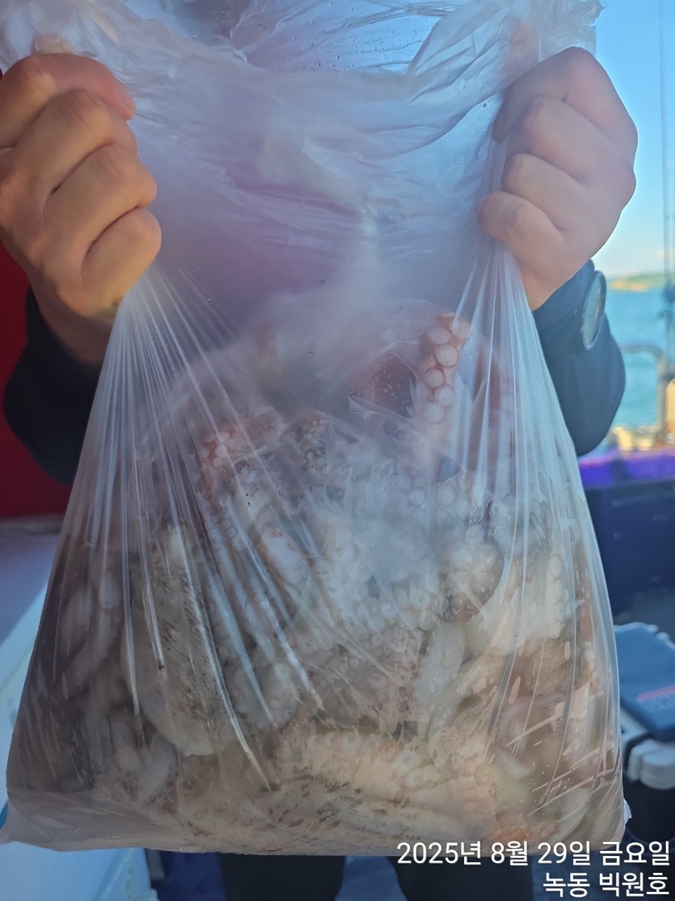 사용자가 올린 이미지