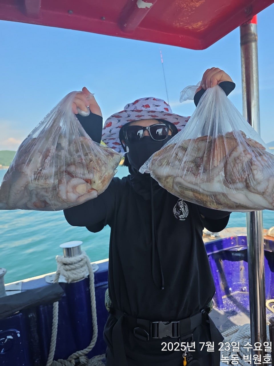 사용자가 올린 이미지