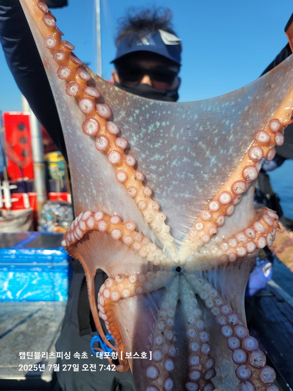 25년 7월 27일 속초 캡틴블리츠피싱 보스호 대(왕)문어 조황