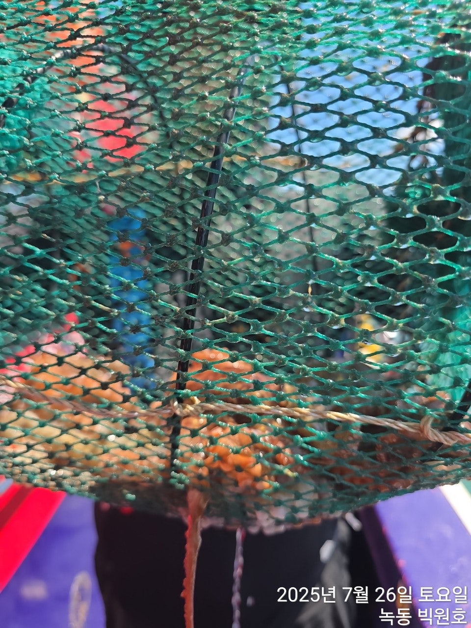 사용자가 올린 이미지