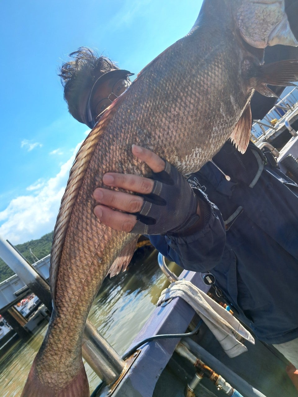 사용자가 올린 이미지