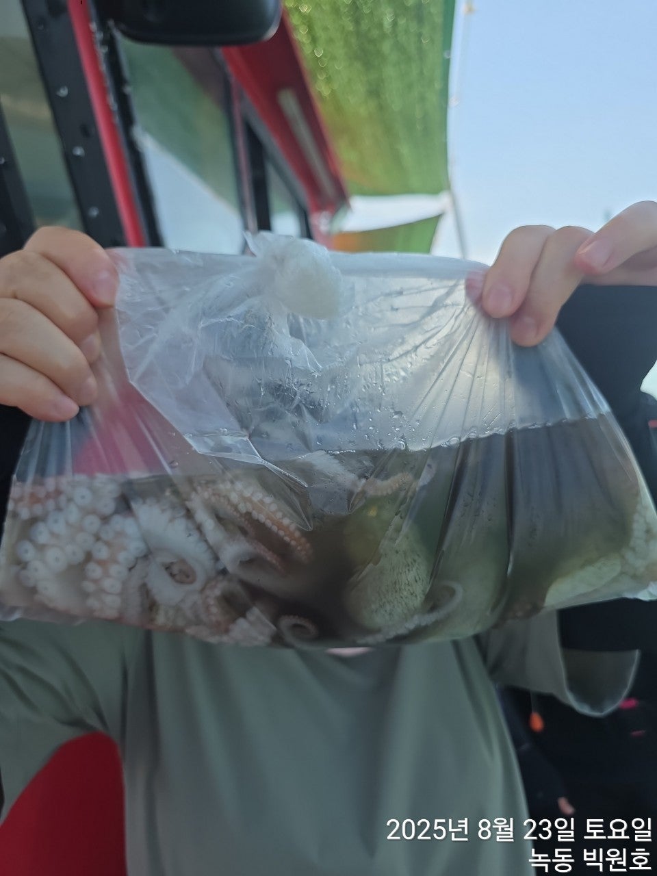 사용자가 올린 이미지