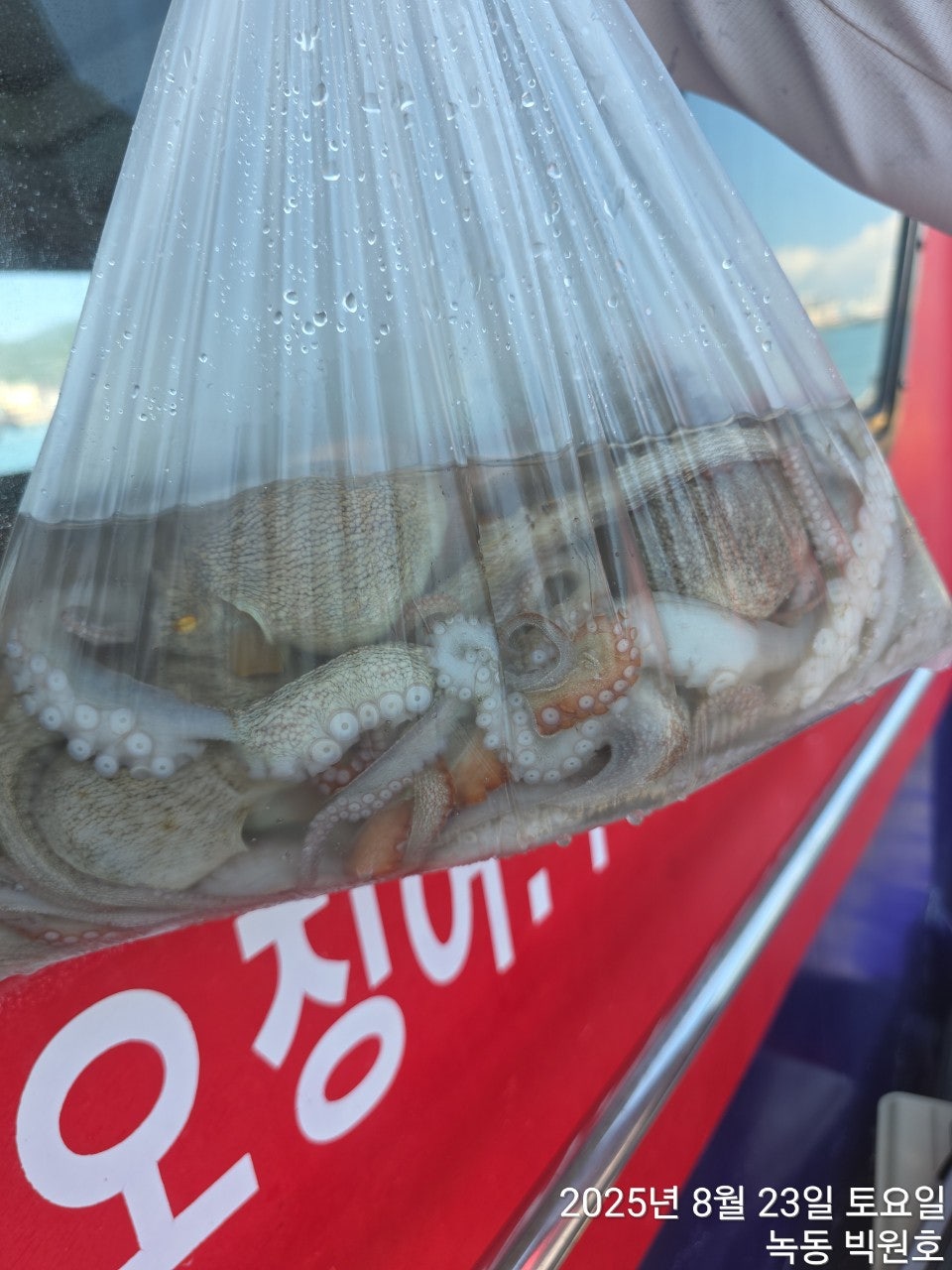 사용자가 올린 이미지