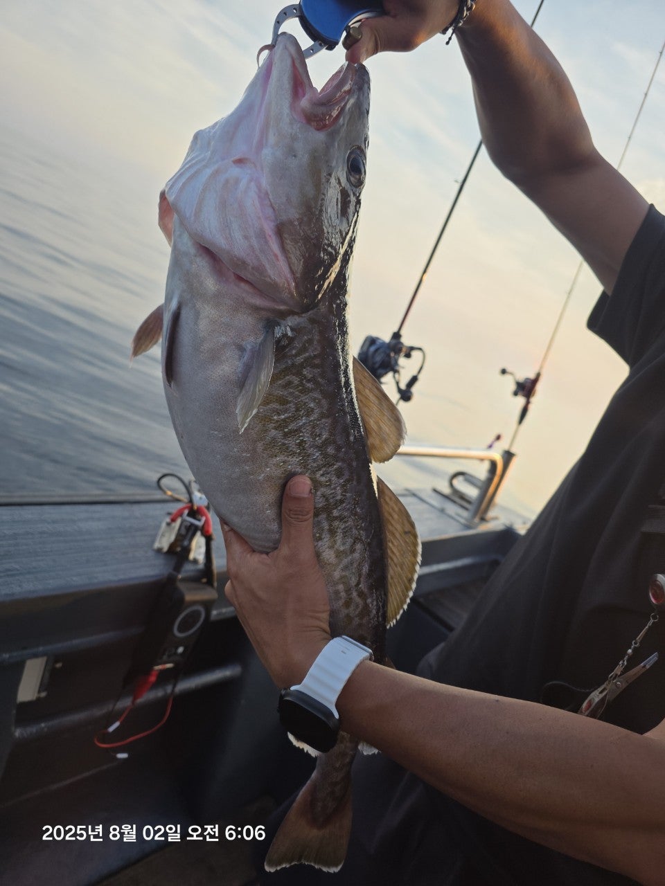 사용자가 올린 이미지