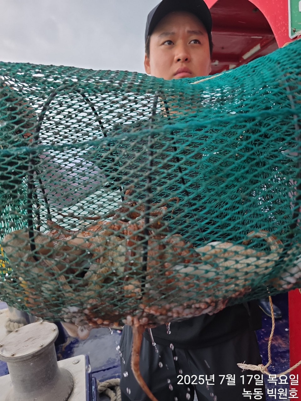 사용자가 올린 이미지