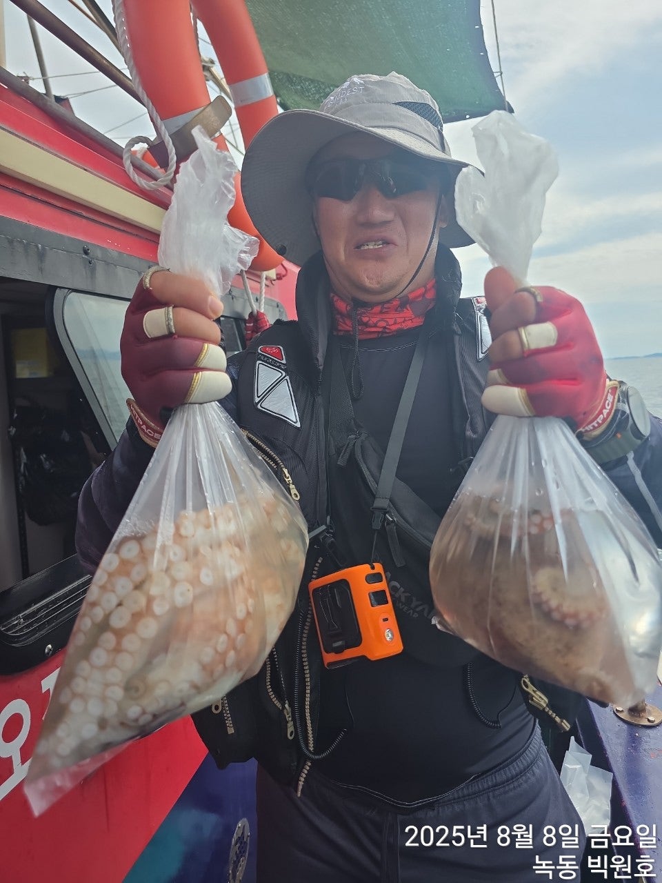 사용자가 올린 이미지