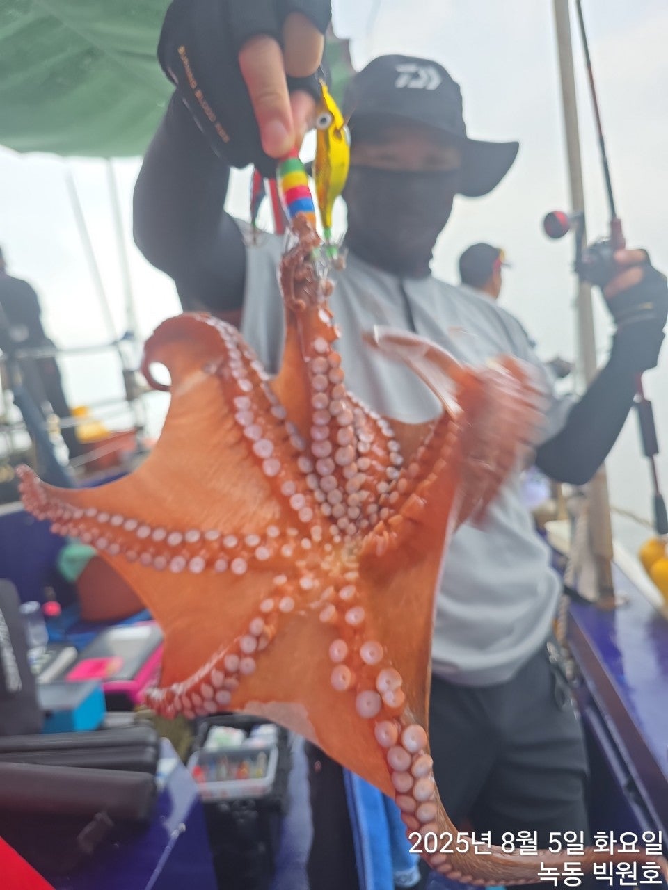 25년 8월 5일 녹동 빅원호 (왕)돌문어 조황