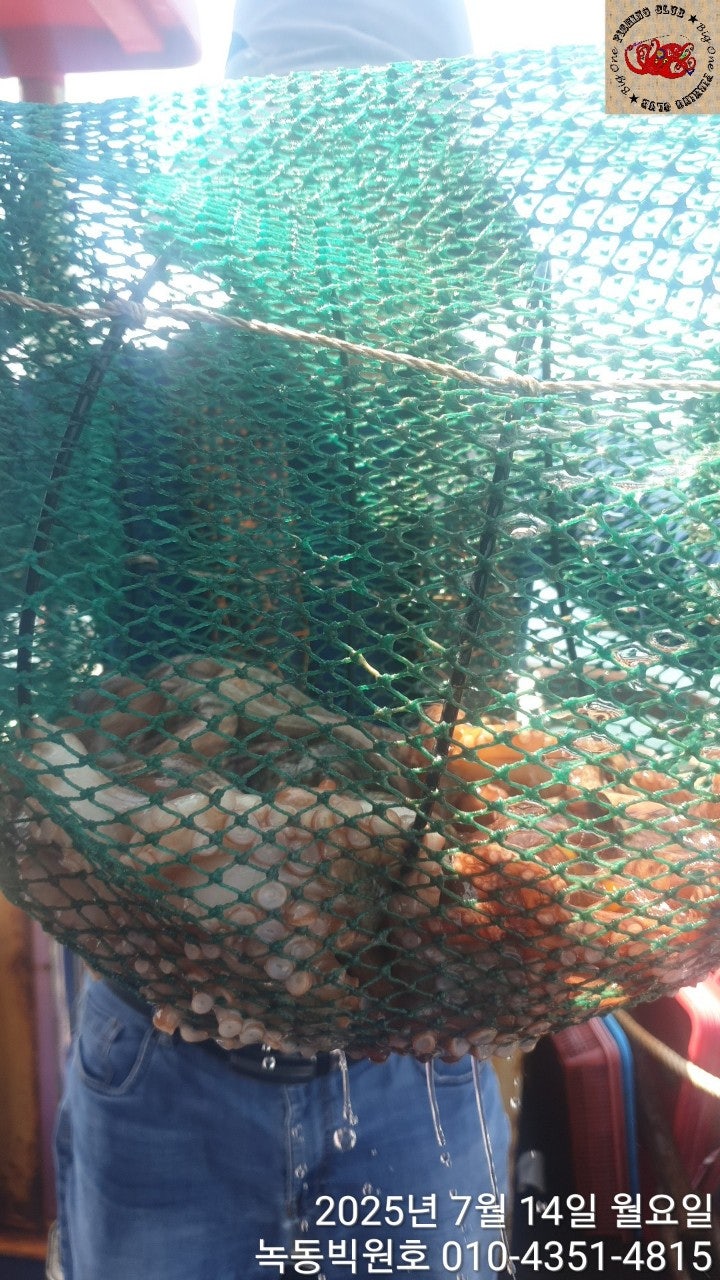 25년 7월 14일 고흥 녹동 빅원호 (왕)돌문어 조황