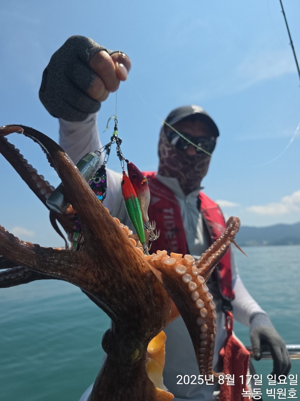 사용자가 올린 이미지