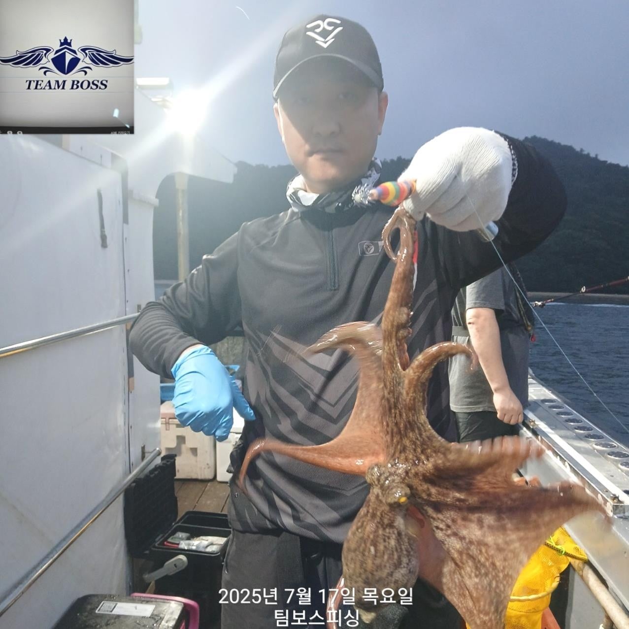 사용자가 올린 이미지