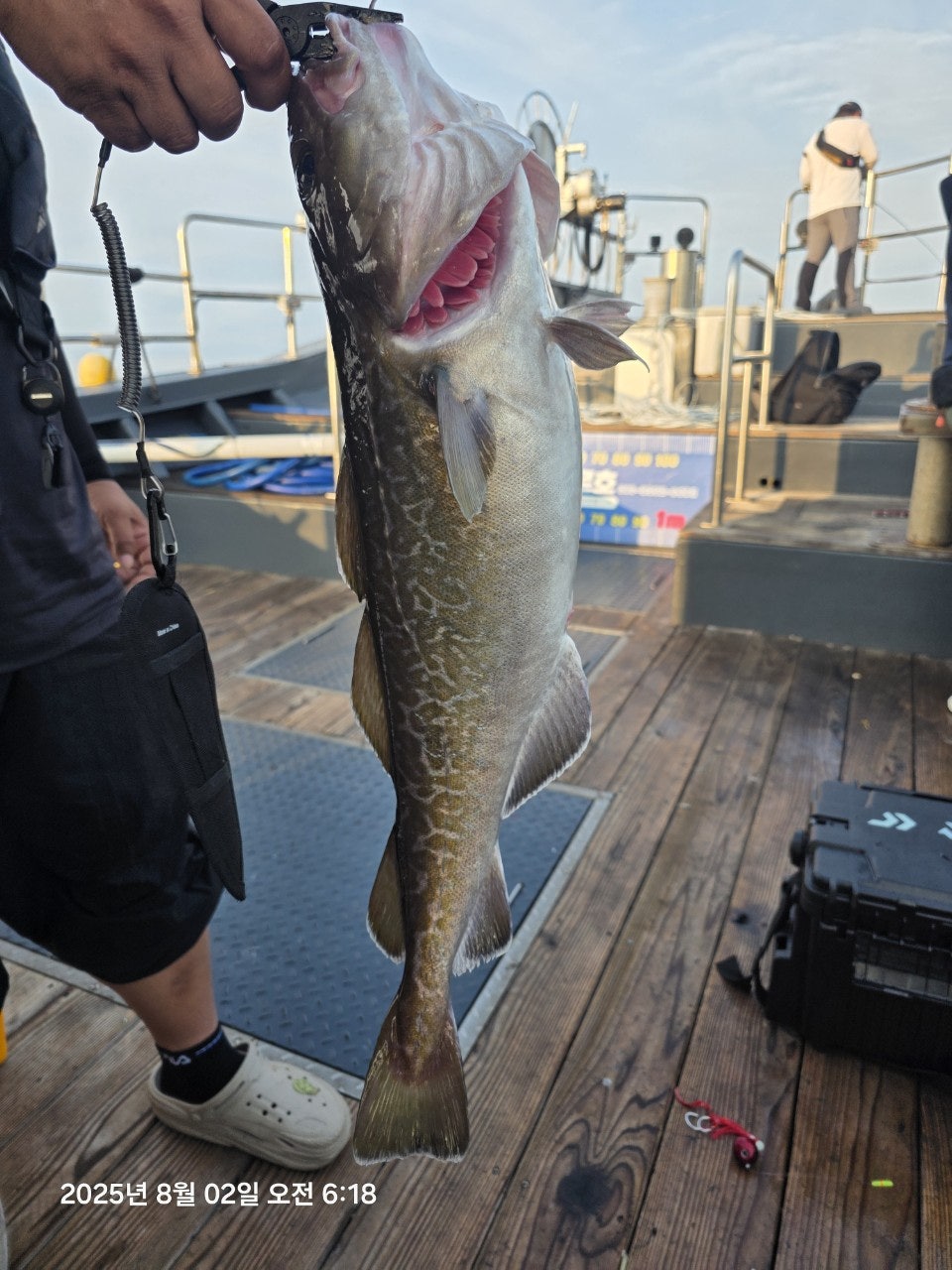 사용자가 올린 이미지