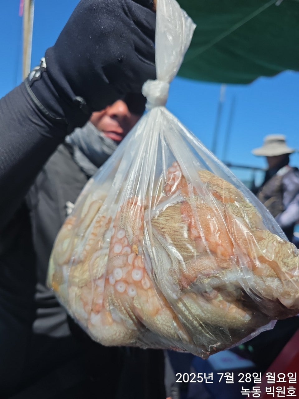 사용자가 올린 이미지