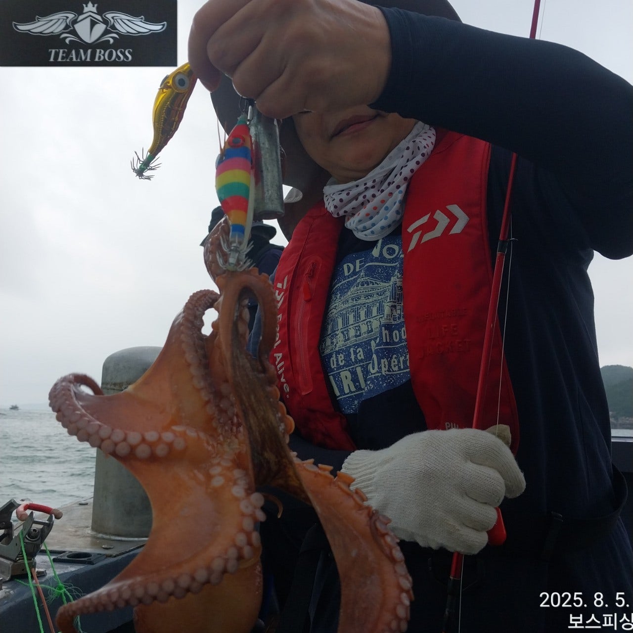 사용자가 올린 이미지