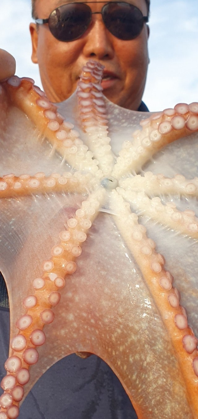 사용자가 올린 이미지