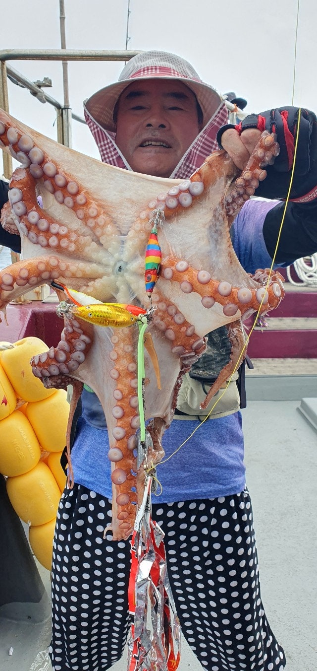 25년 7월 30일 공현진항 일광호 대왕 피문어 조황