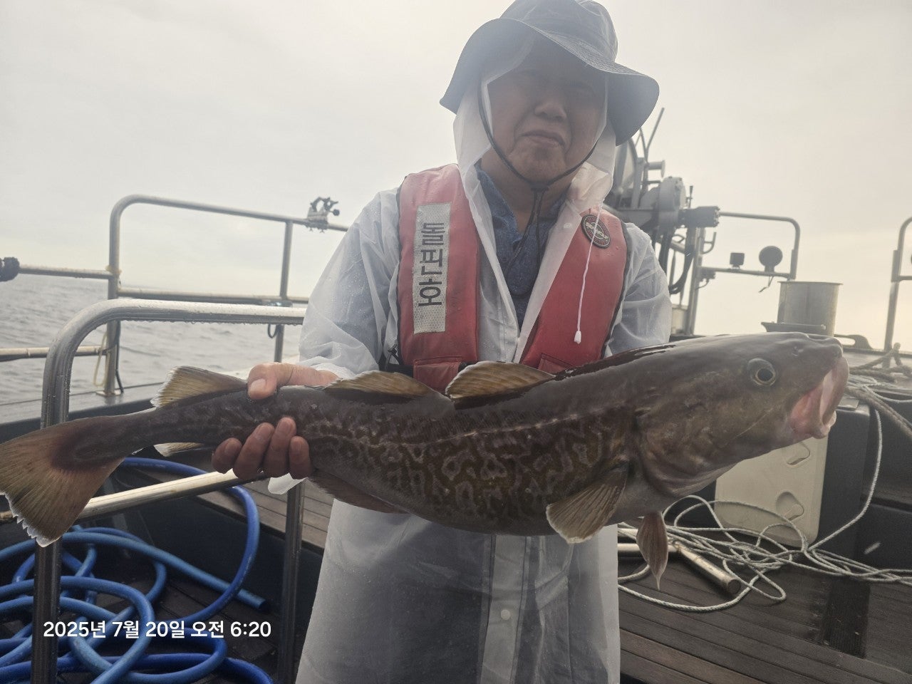 25년 7월 20일 공현진항 미르호 (왕)대구 조황