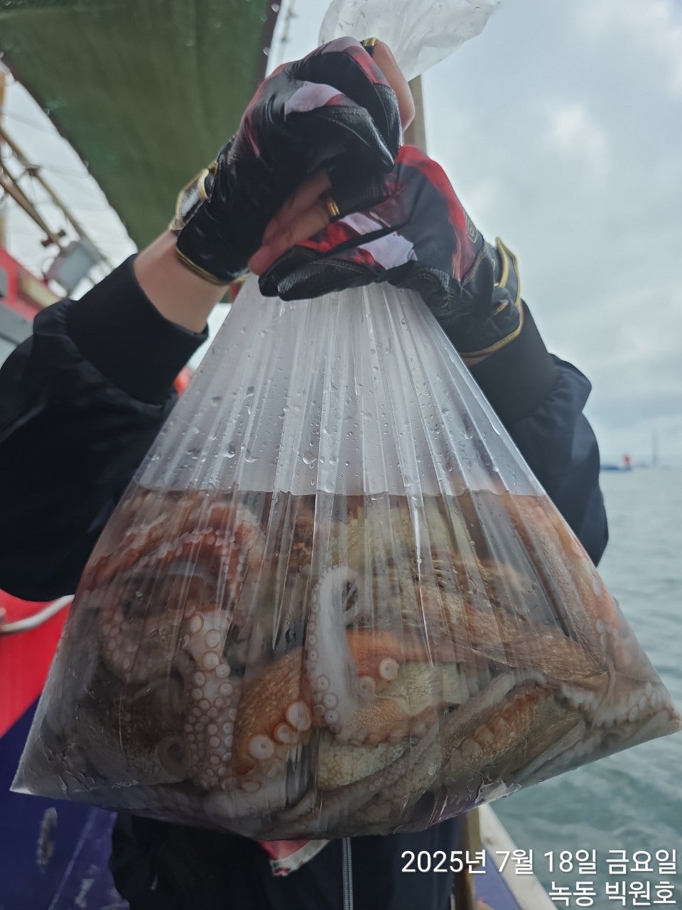 사용자가 올린 이미지