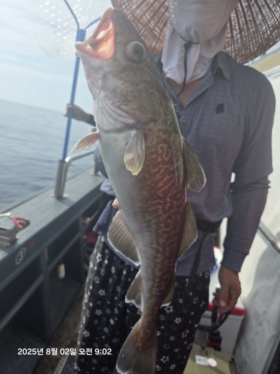 사용자가 올린 이미지