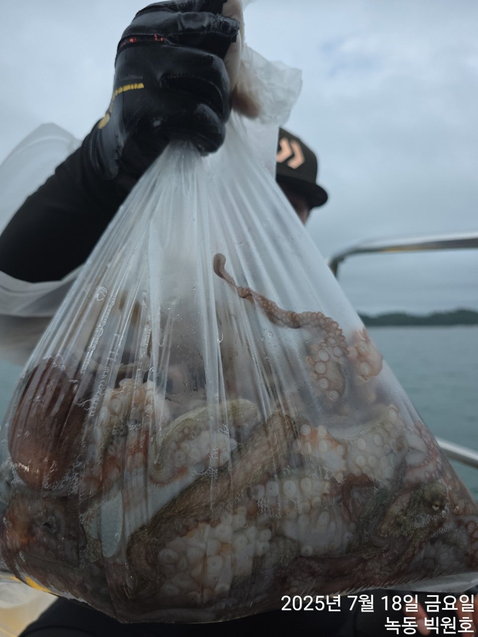 25년 7월 18일 고흥 녹동 빅원호 (왕)돌문어 조황