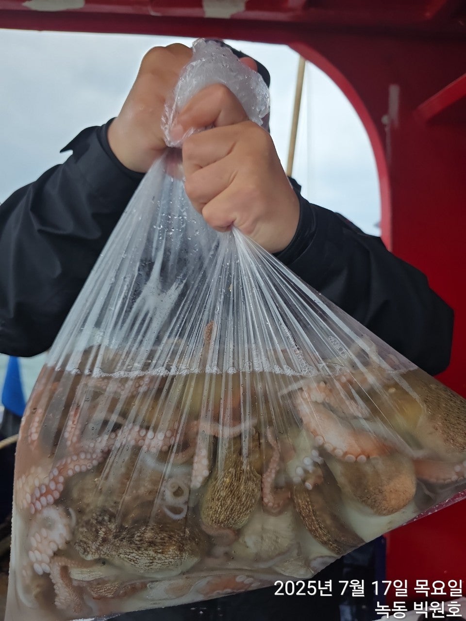 사용자가 올린 이미지