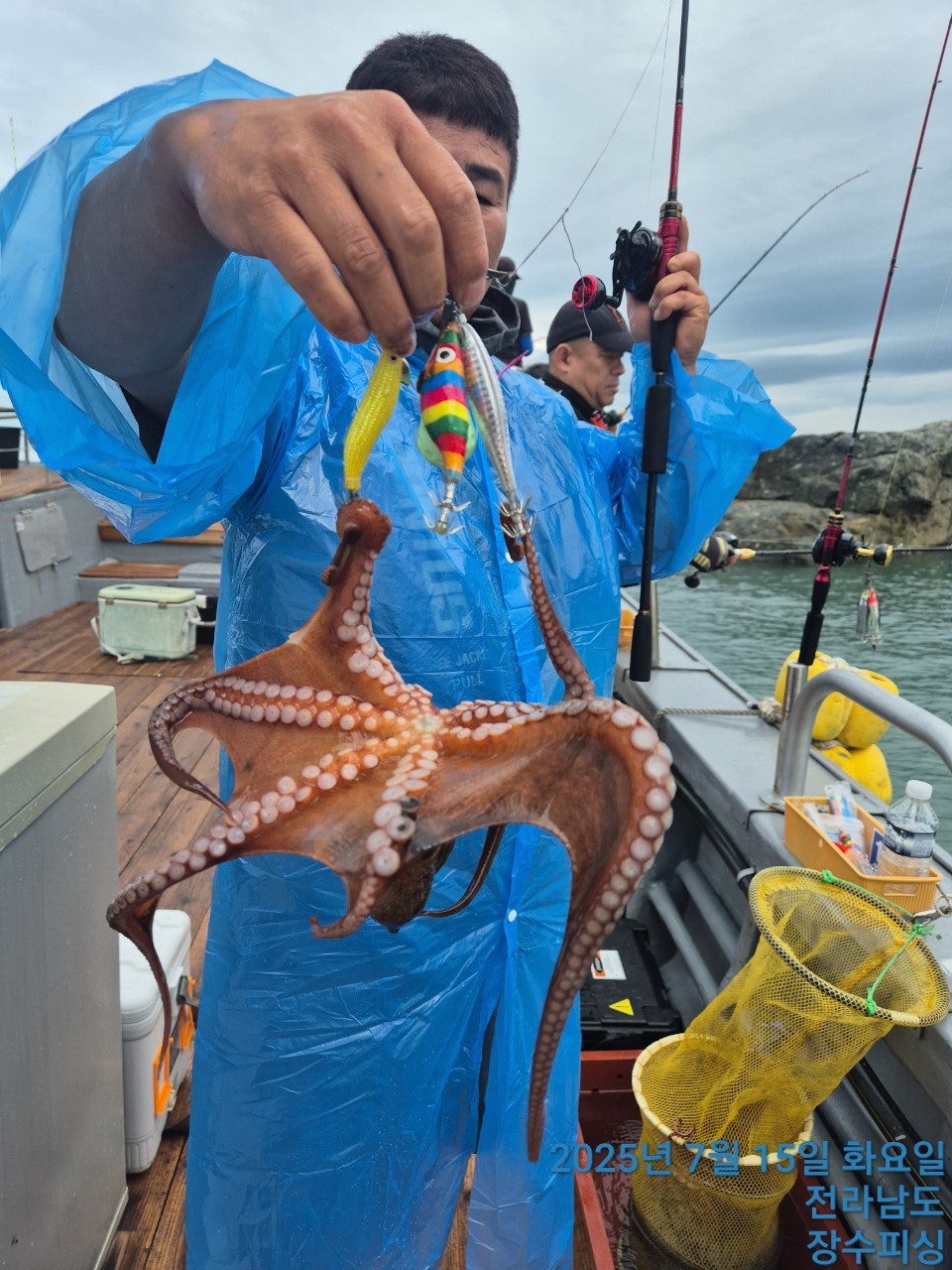 사용자가 올린 이미지