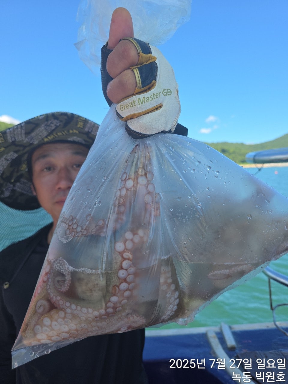 사용자가 올린 이미지