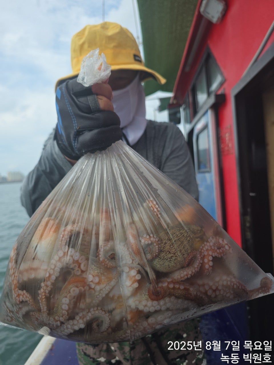 사용자가 올린 이미지