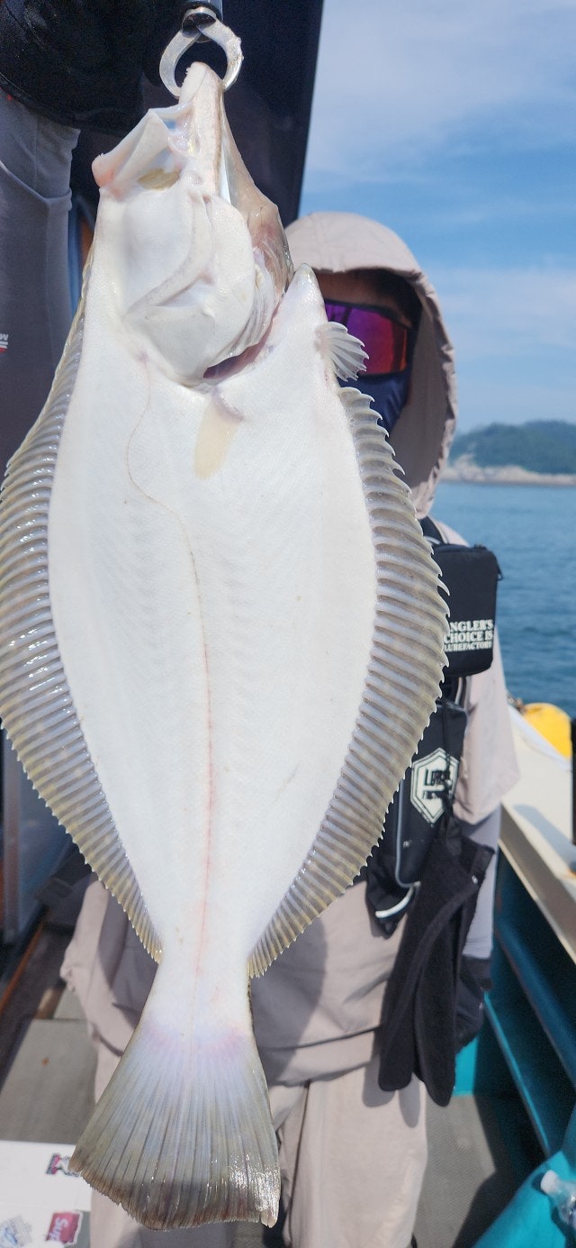 25년 7월 26일 격포항 남부스타호 생미끼 외수질 조황