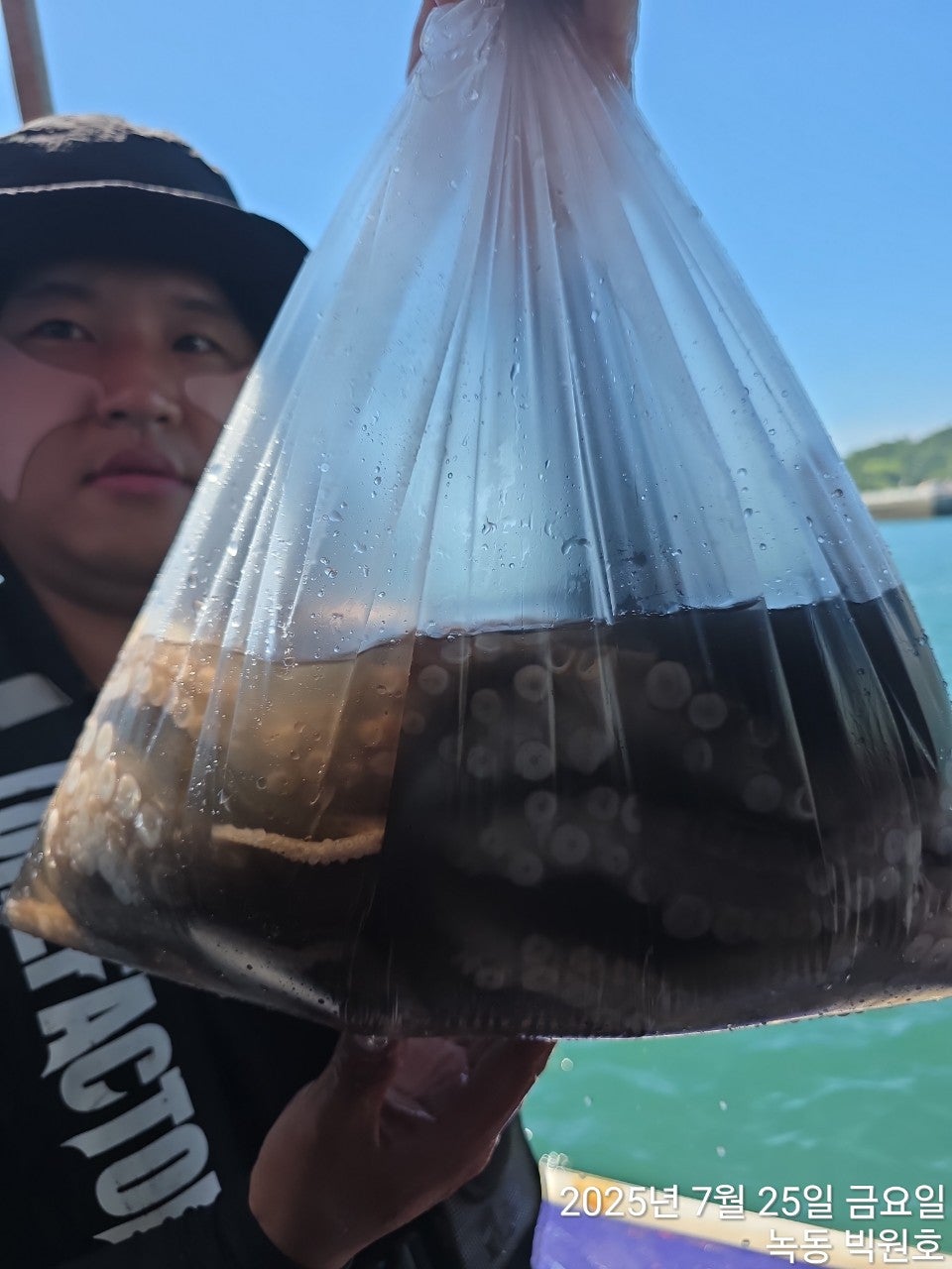 사용자가 올린 이미지