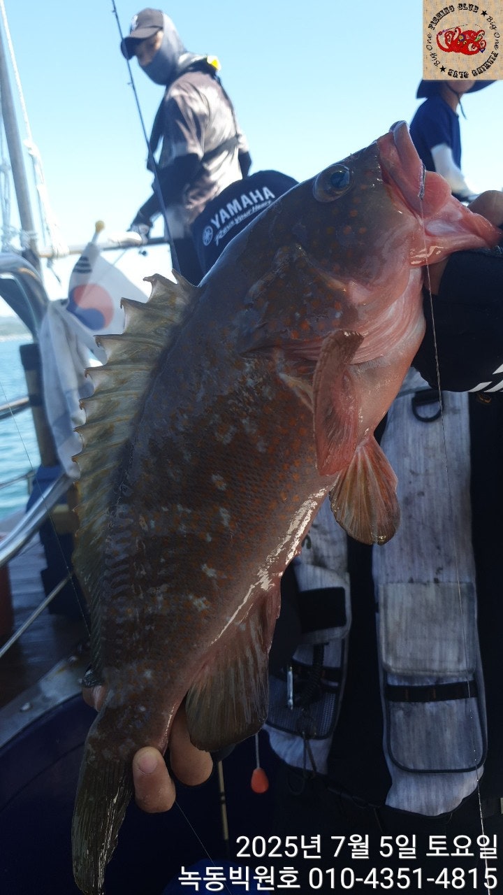 25년 7월 5일 고흥 복동 빅원호 (왕) 붉바리 조황