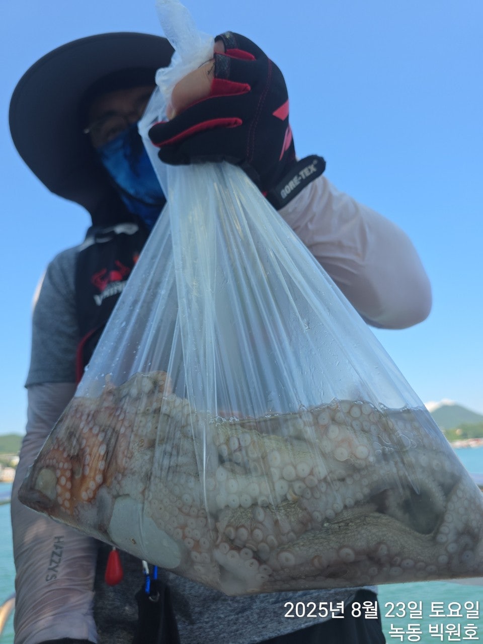 사용자가 올린 이미지