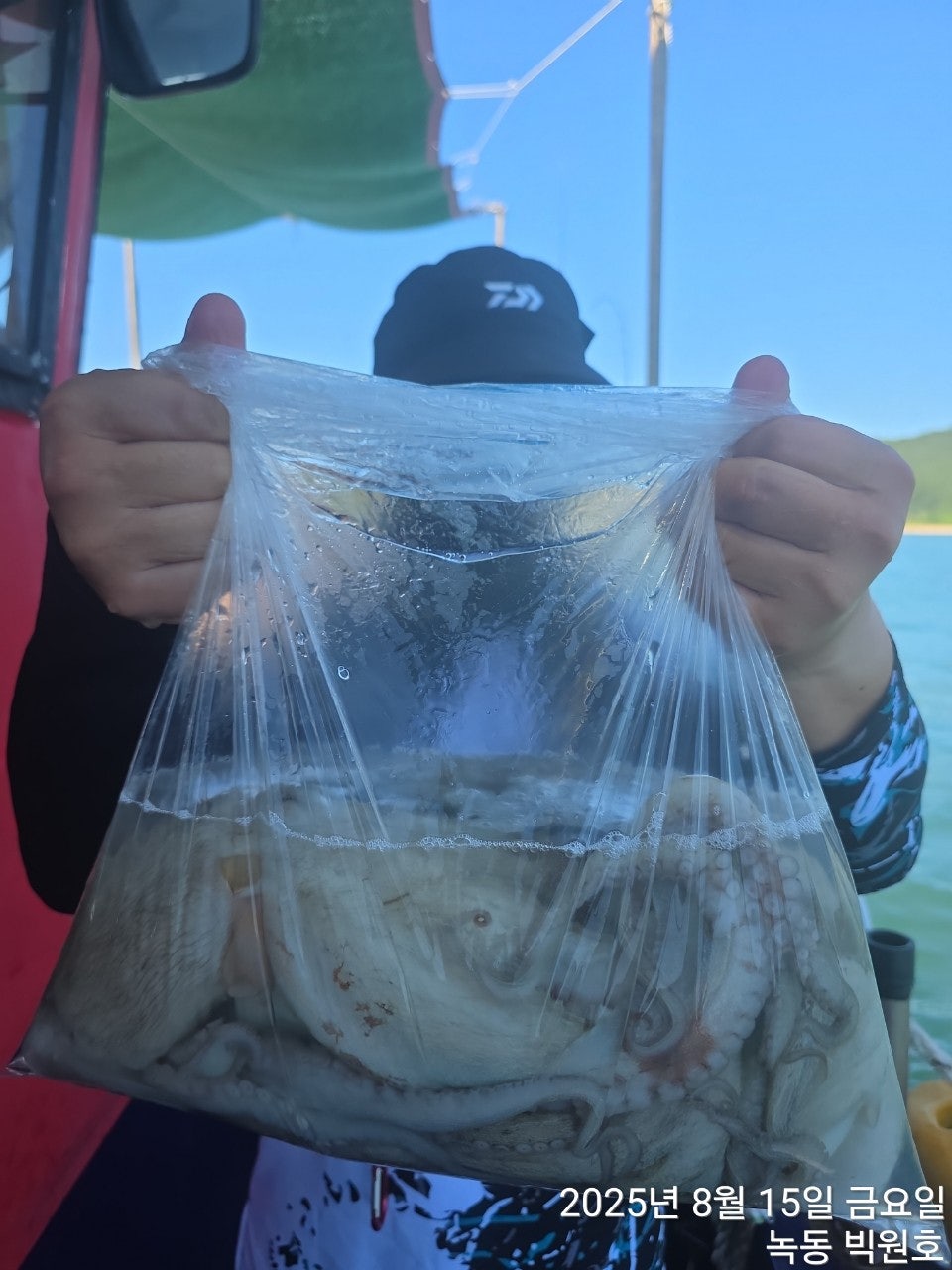 사용자가 올린 이미지