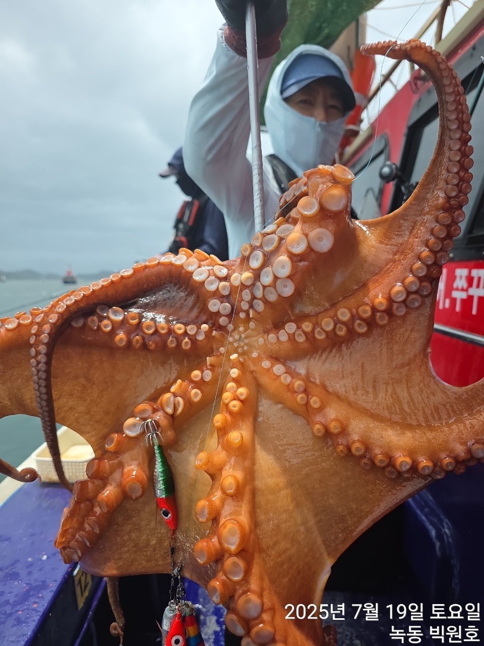 25년 7월 19일 고흥 녹동 빅원호 (왕)돌문어 조황