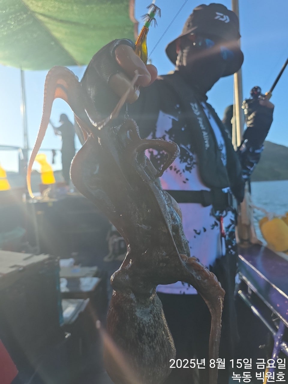 사용자가 올린 이미지