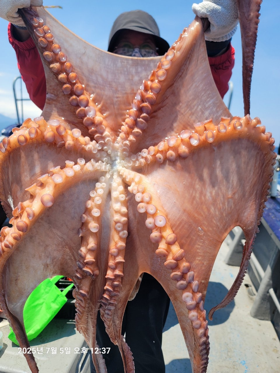 사용자가 올린 이미지