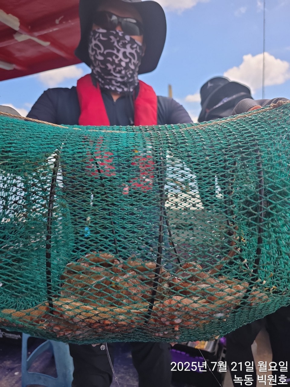 사용자가 올린 이미지