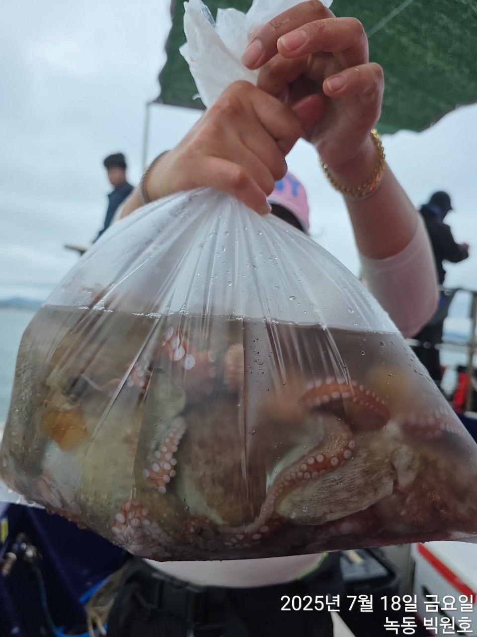 사용자가 올린 이미지