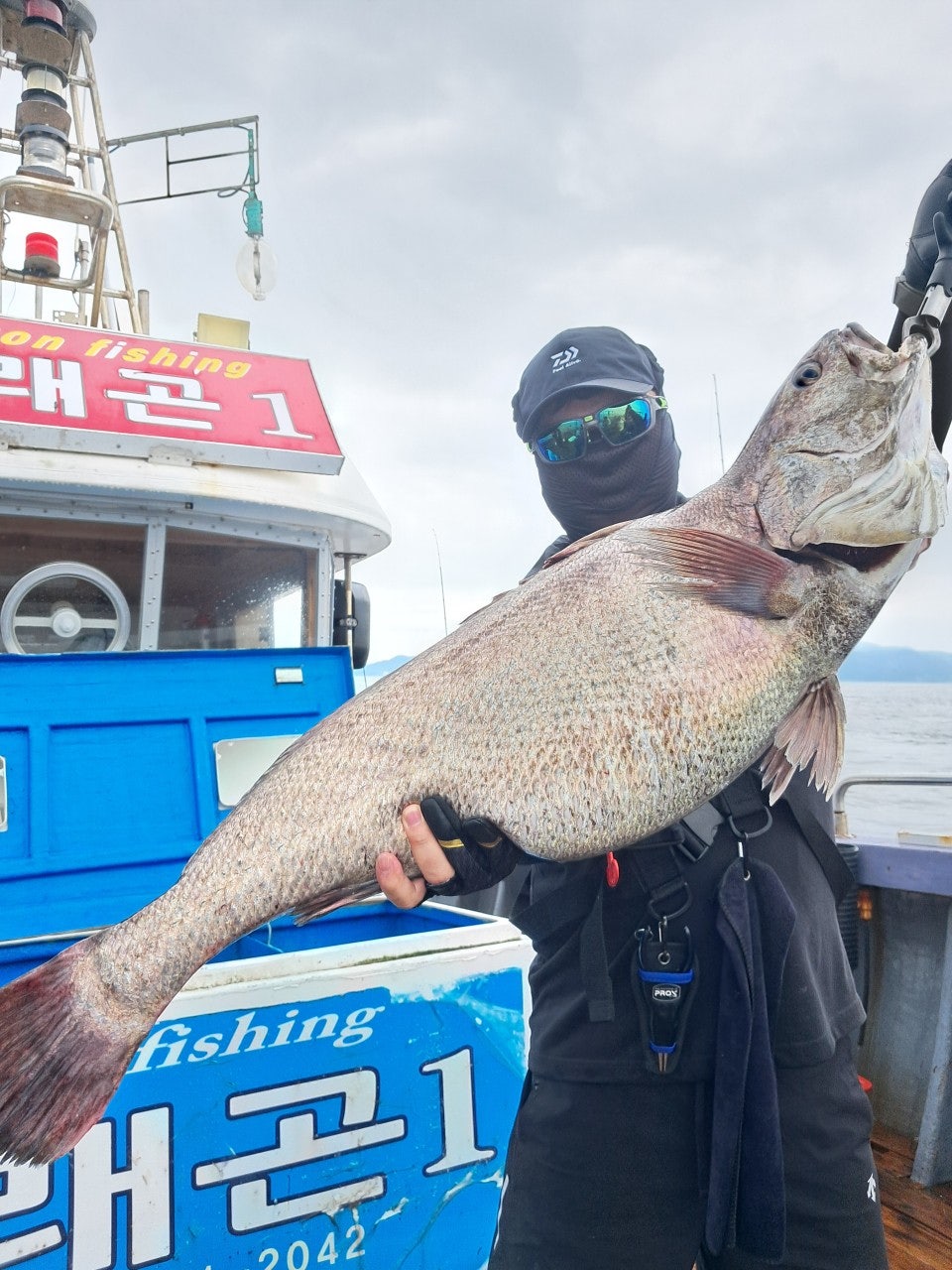 25년 8월 9일 격포 남부낚시 드래곤1호 (왕)민어 조황