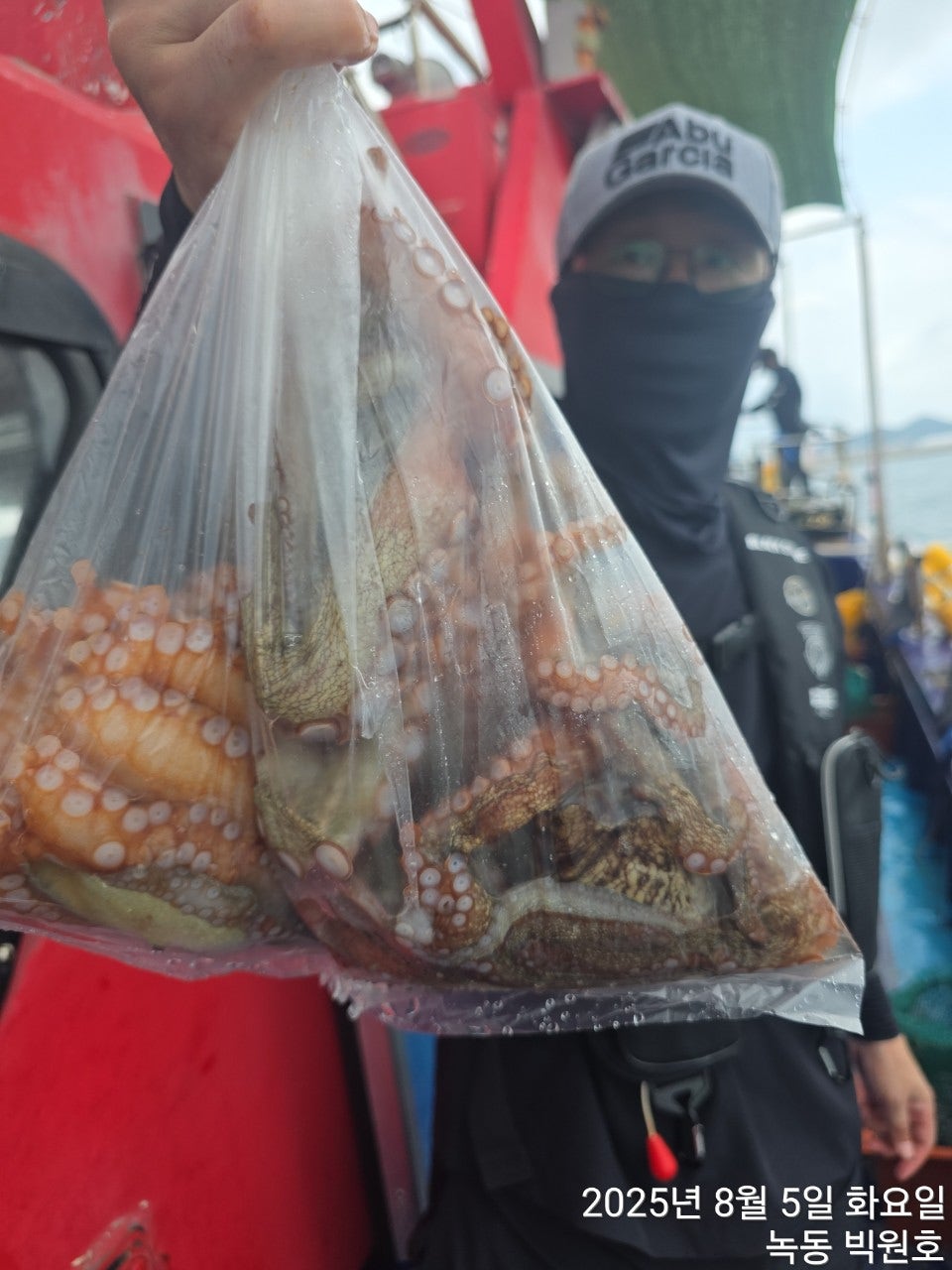 사용자가 올린 이미지