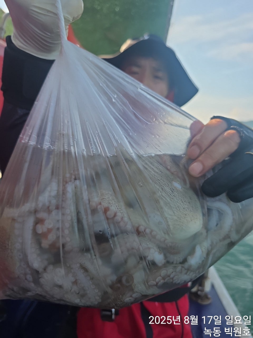 사용자가 올린 이미지