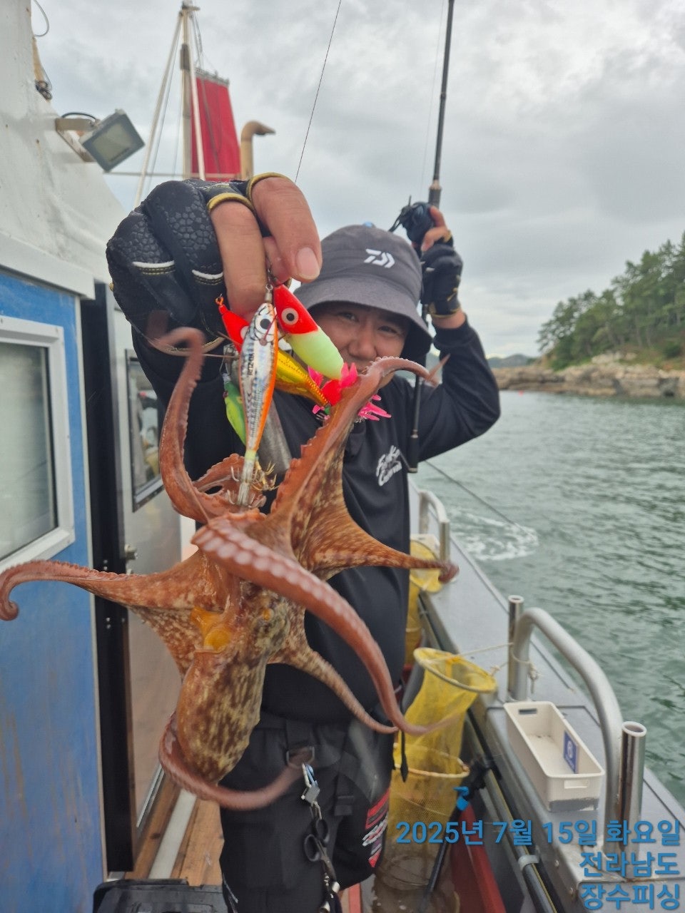 사용자가 올린 이미지