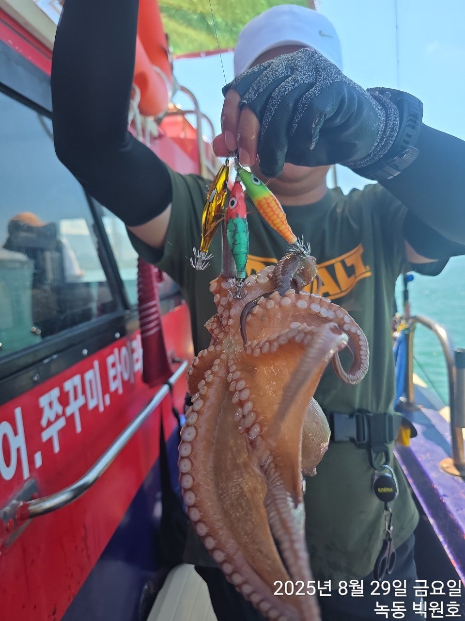 사용자가 올린 이미지