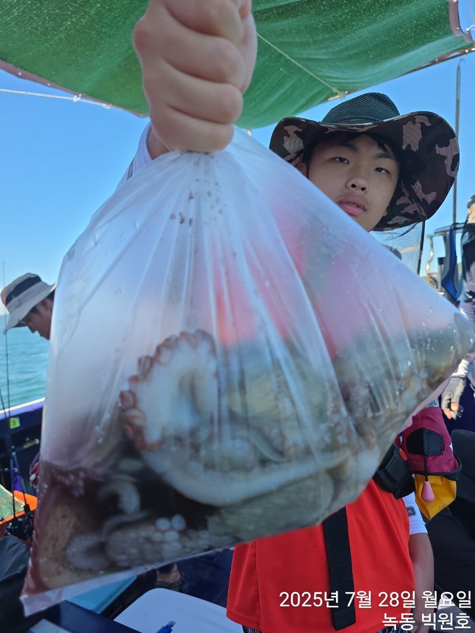 사용자가 올린 이미지