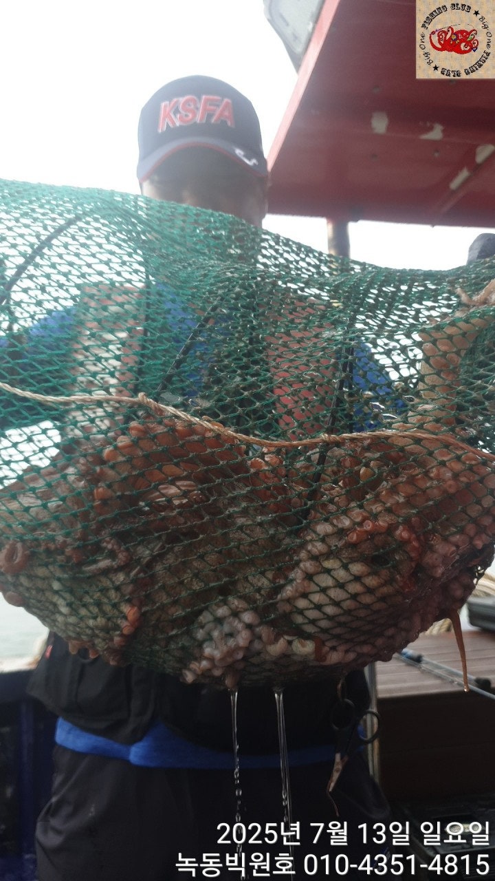 25년 7월 13일 고흥 빅원호 (왕)돌문어 조황