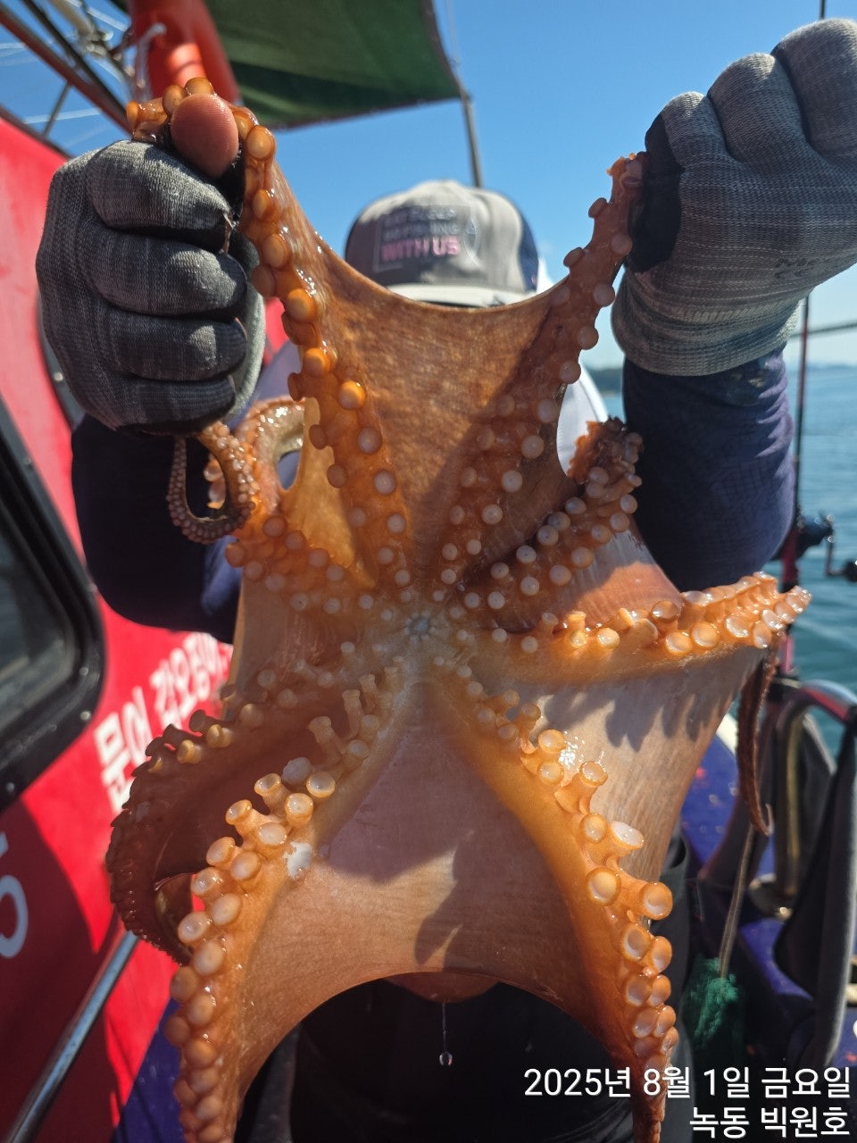 25년 8월 1일 고흥 빅원호 (왕)돌문어 조황
