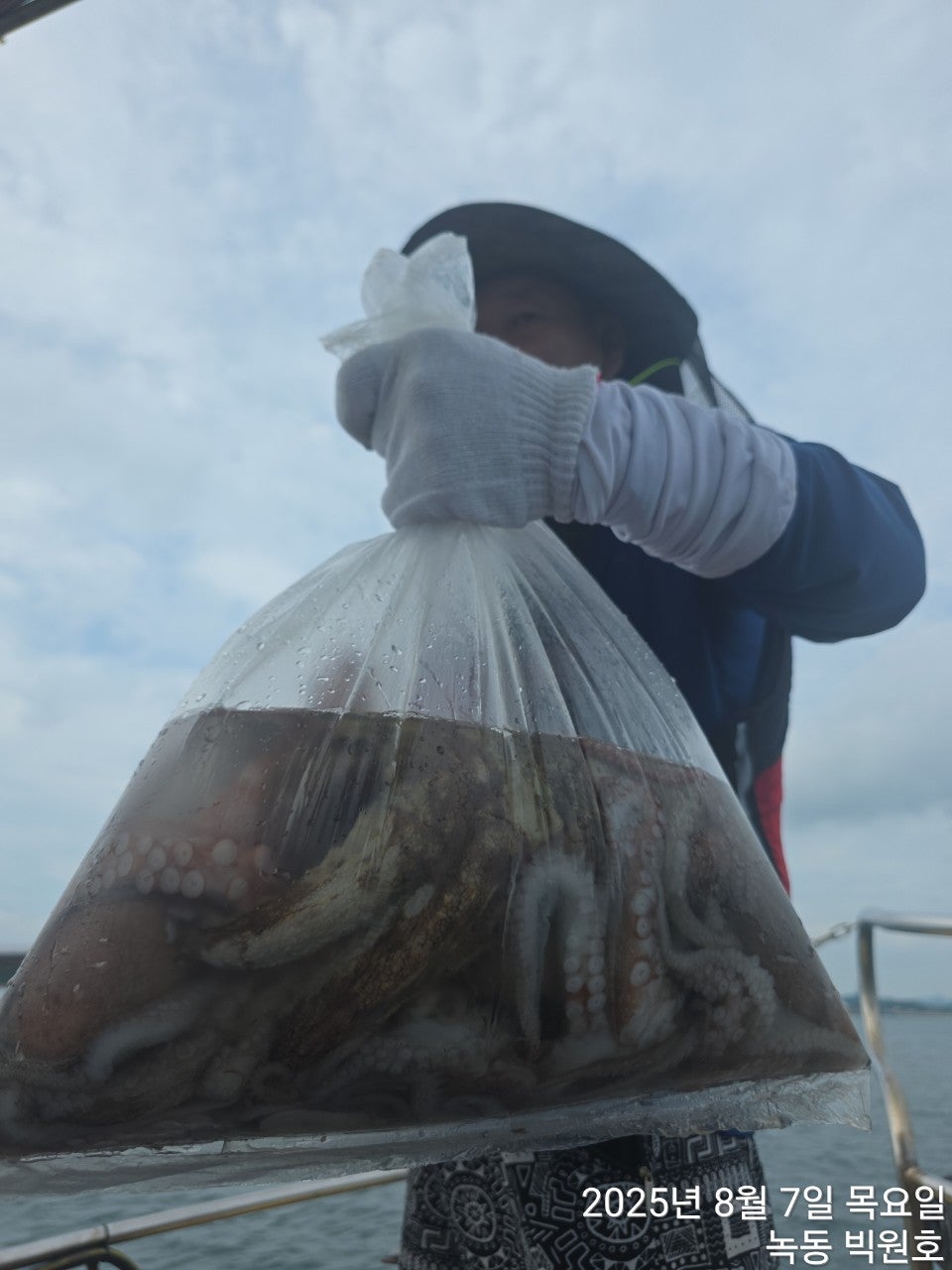 사용자가 올린 이미지