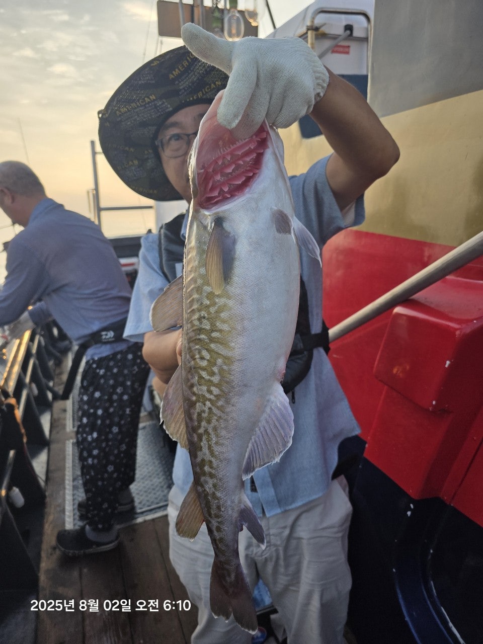 사용자가 올린 이미지