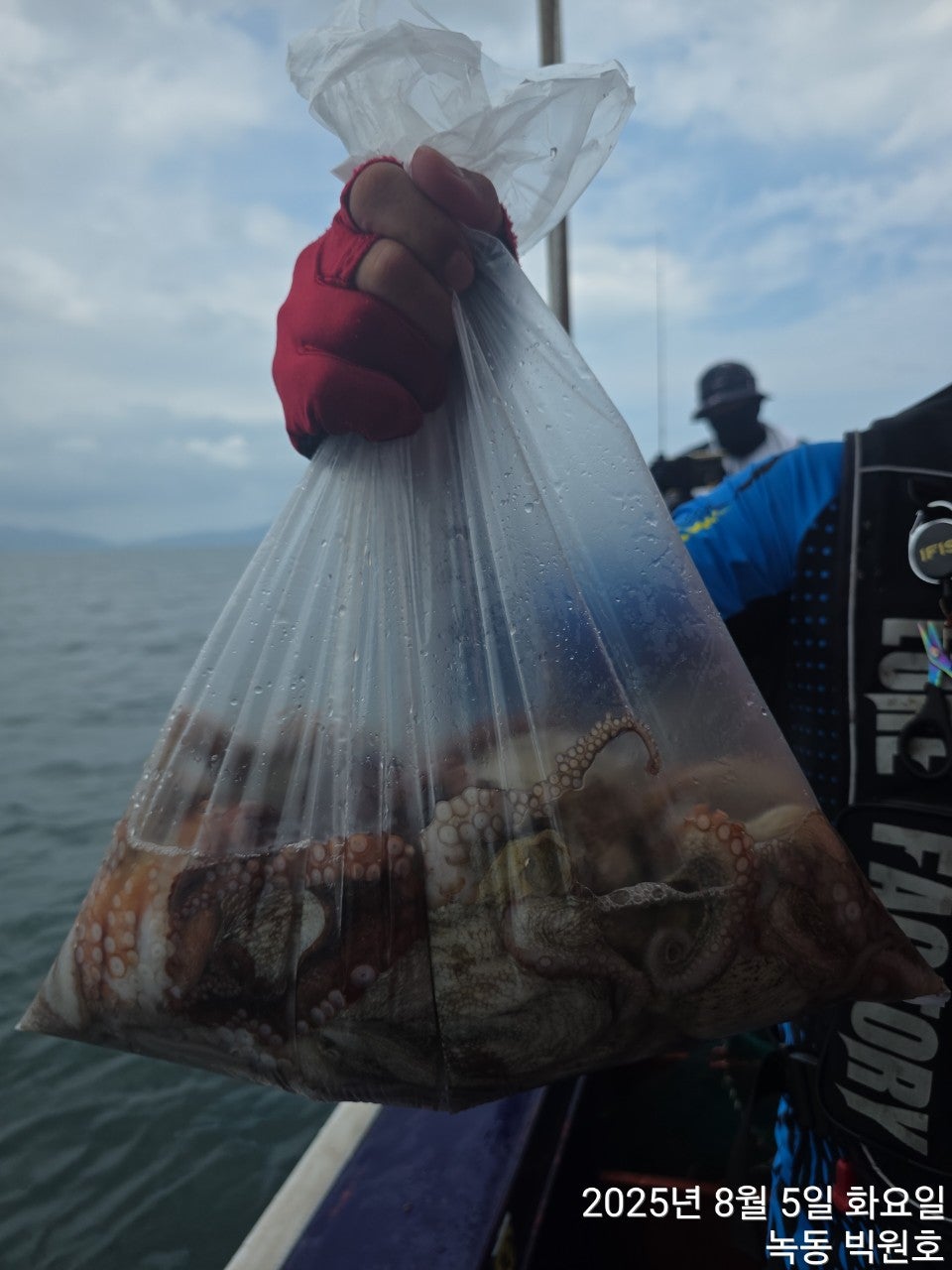 사용자가 올린 이미지