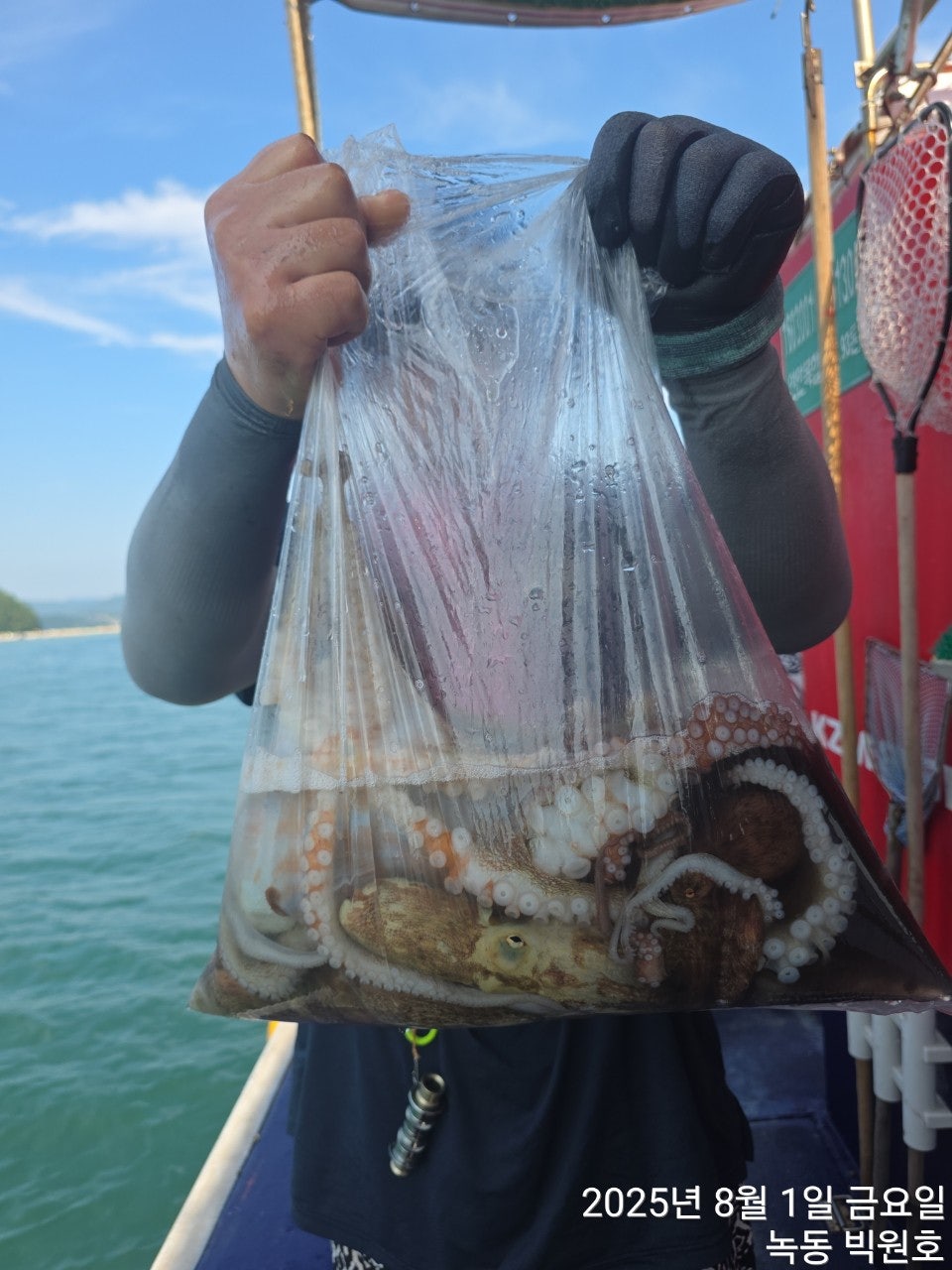 사용자가 올린 이미지