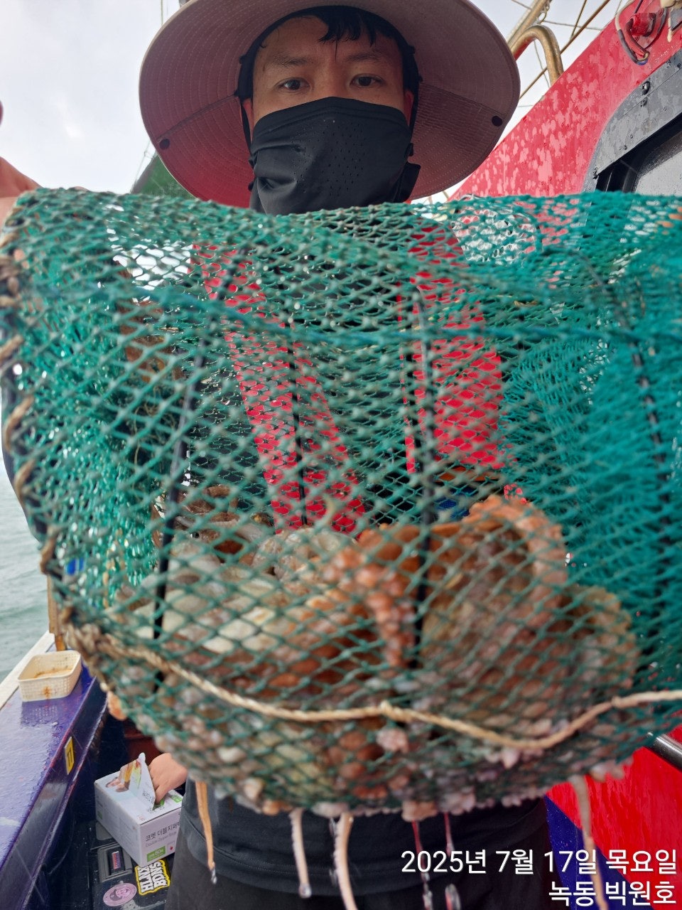 사용자가 올린 이미지